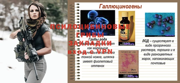ГАЛЛЮЦИНОГЕННЫЕ ГРИБЫ Володарск