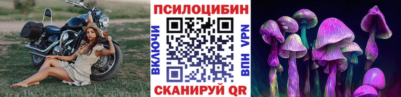 Псилоцибиновые грибы MAGIC MUSHROOMS  Зима 