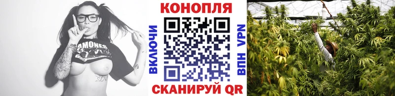 Конопля AK-47  даркнет как зайти  Зима  магазин  наркотиков 